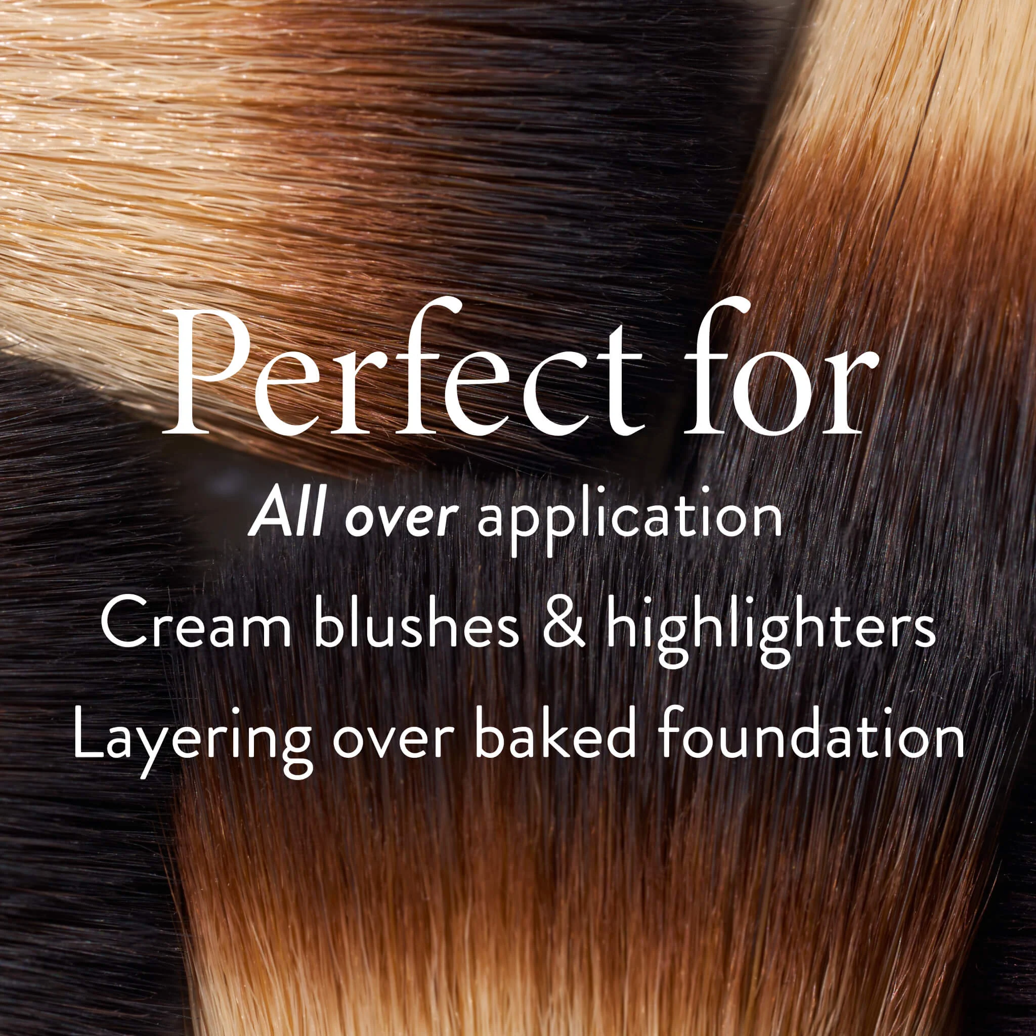 Wonder Brush - Image 4